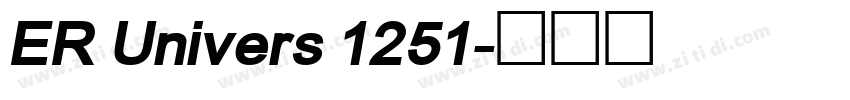 ER Univers 1251字体转换